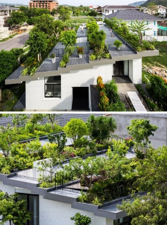 Зелёные крыши
