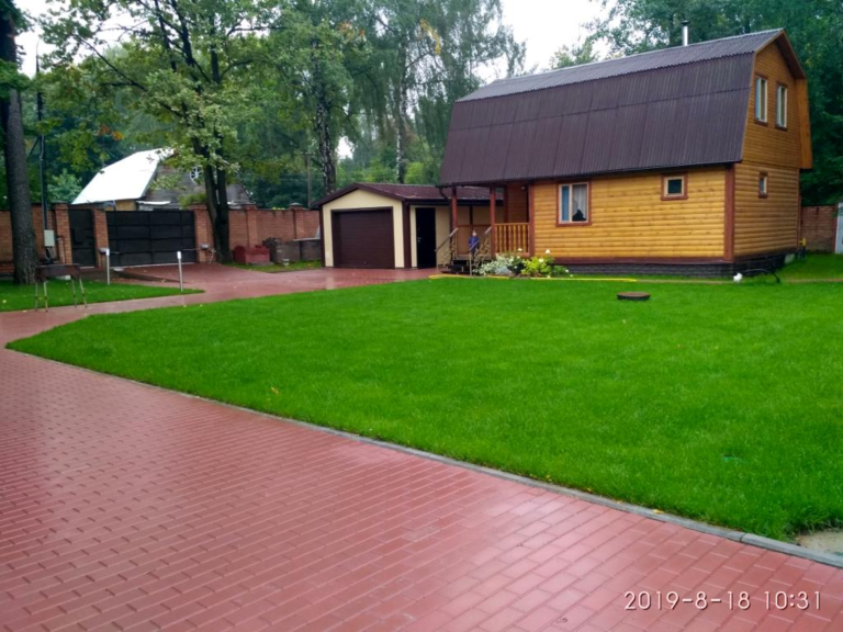 Какой газон лучше: посевной или рулонный?