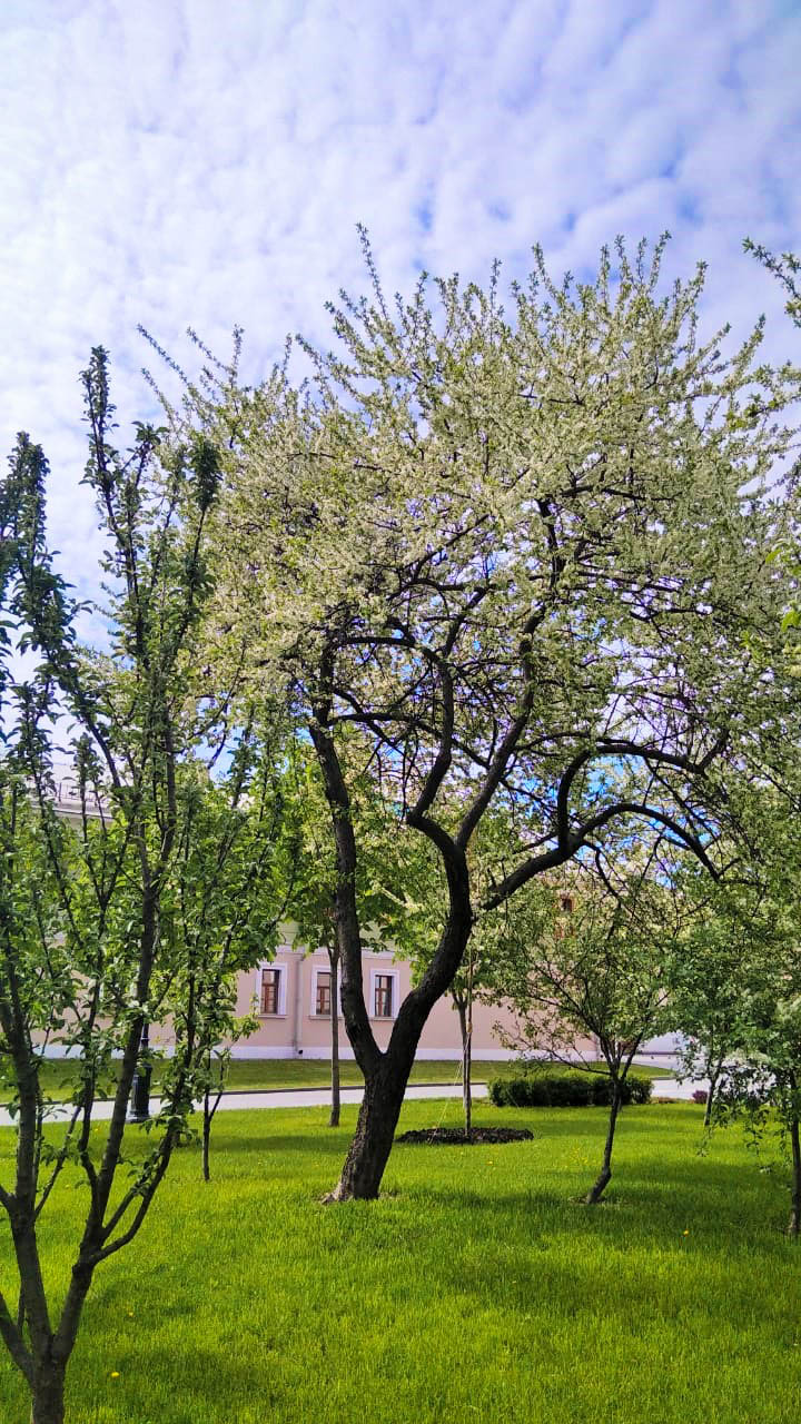 Фото проекта