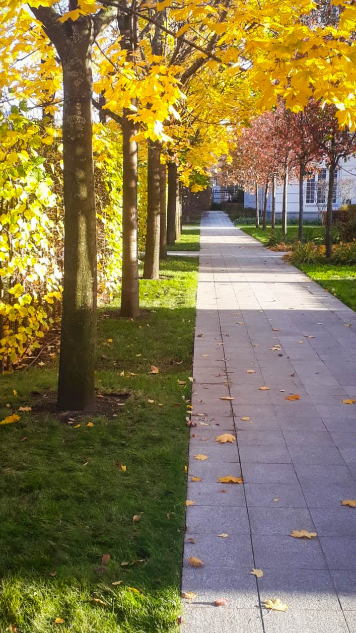 Фото проекта