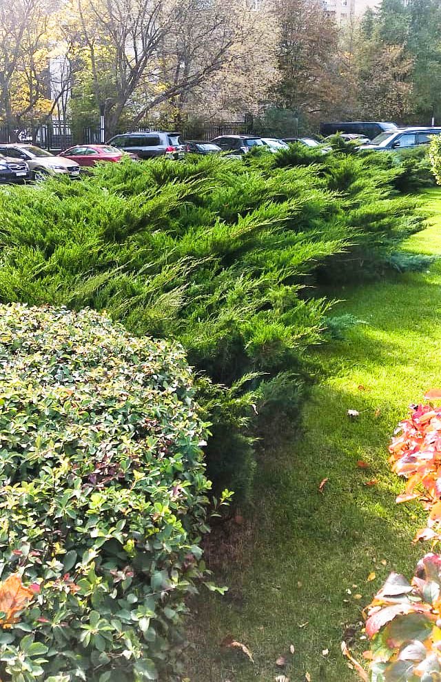 Фото проекта