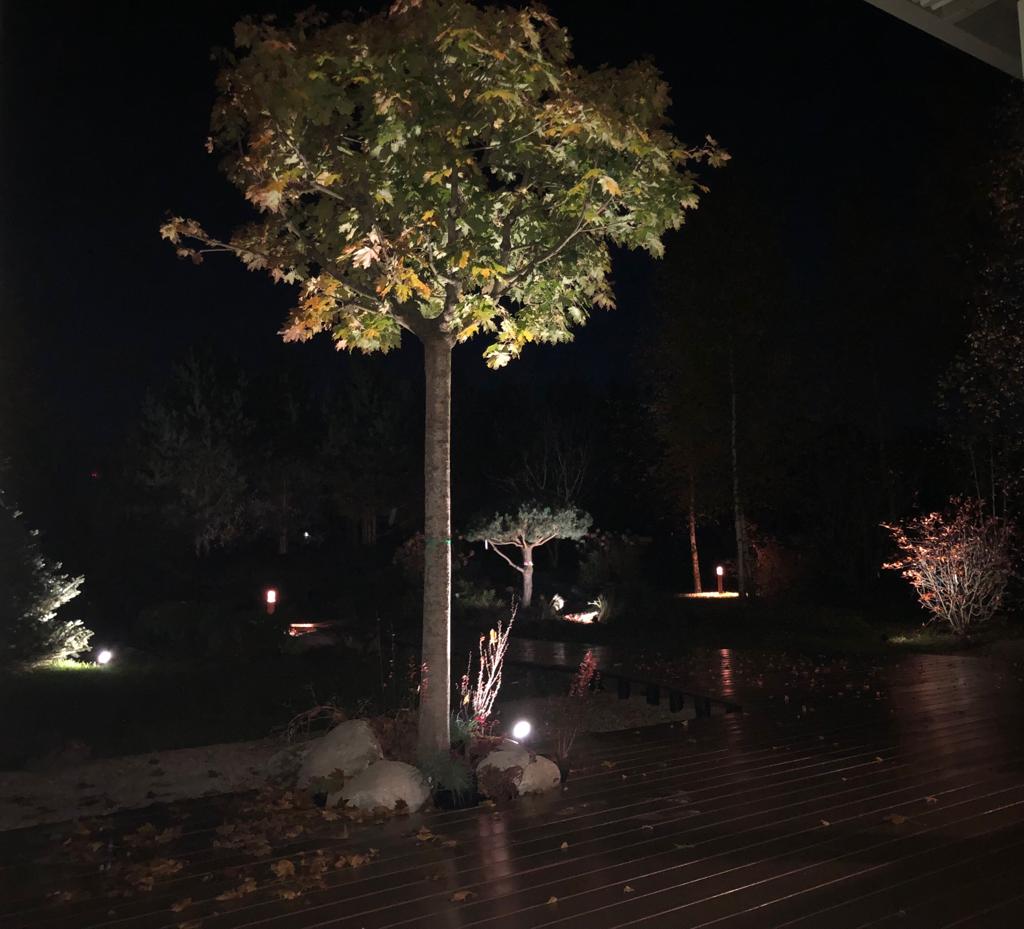 Фото проекта