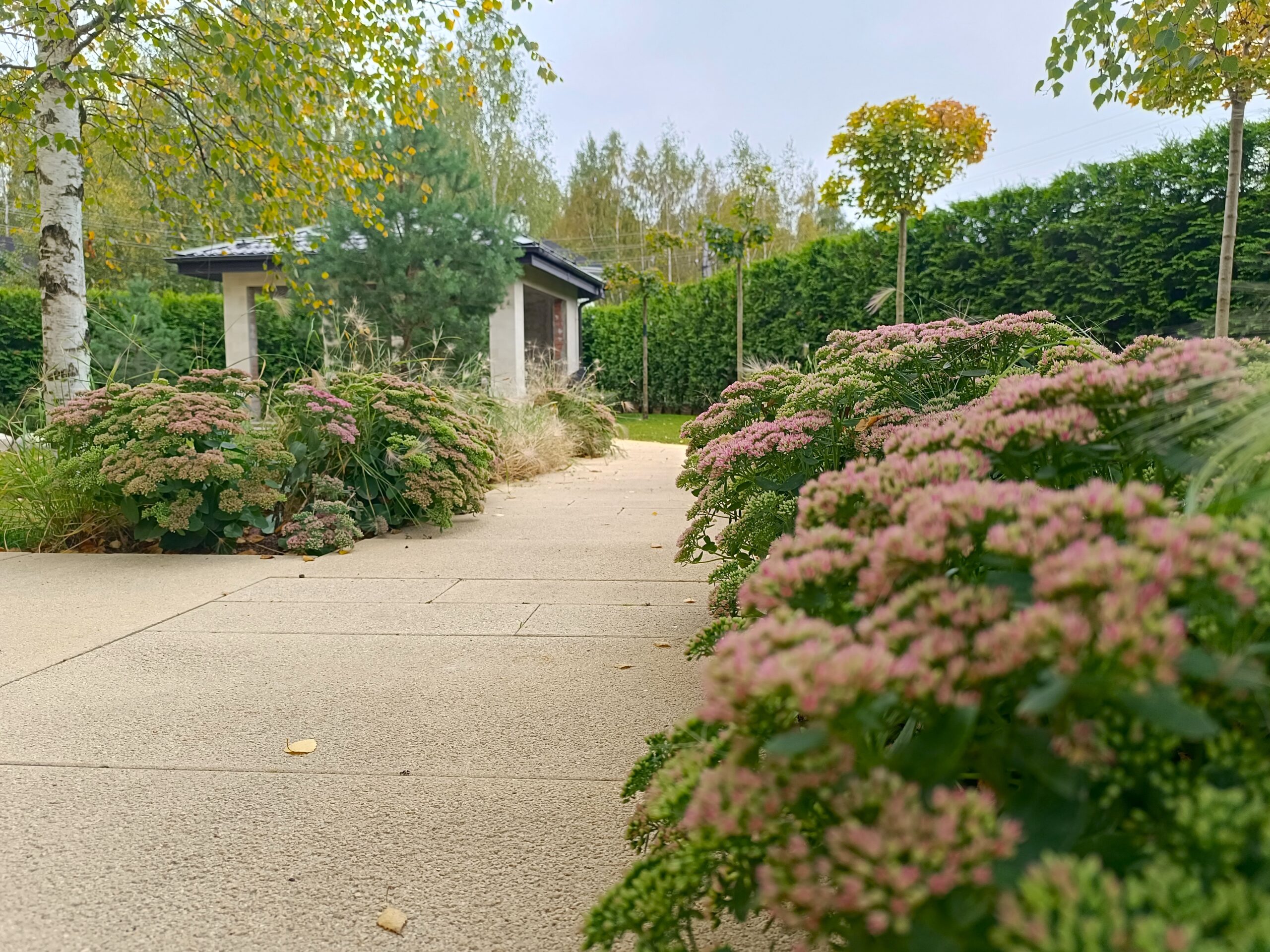 Фото проекта