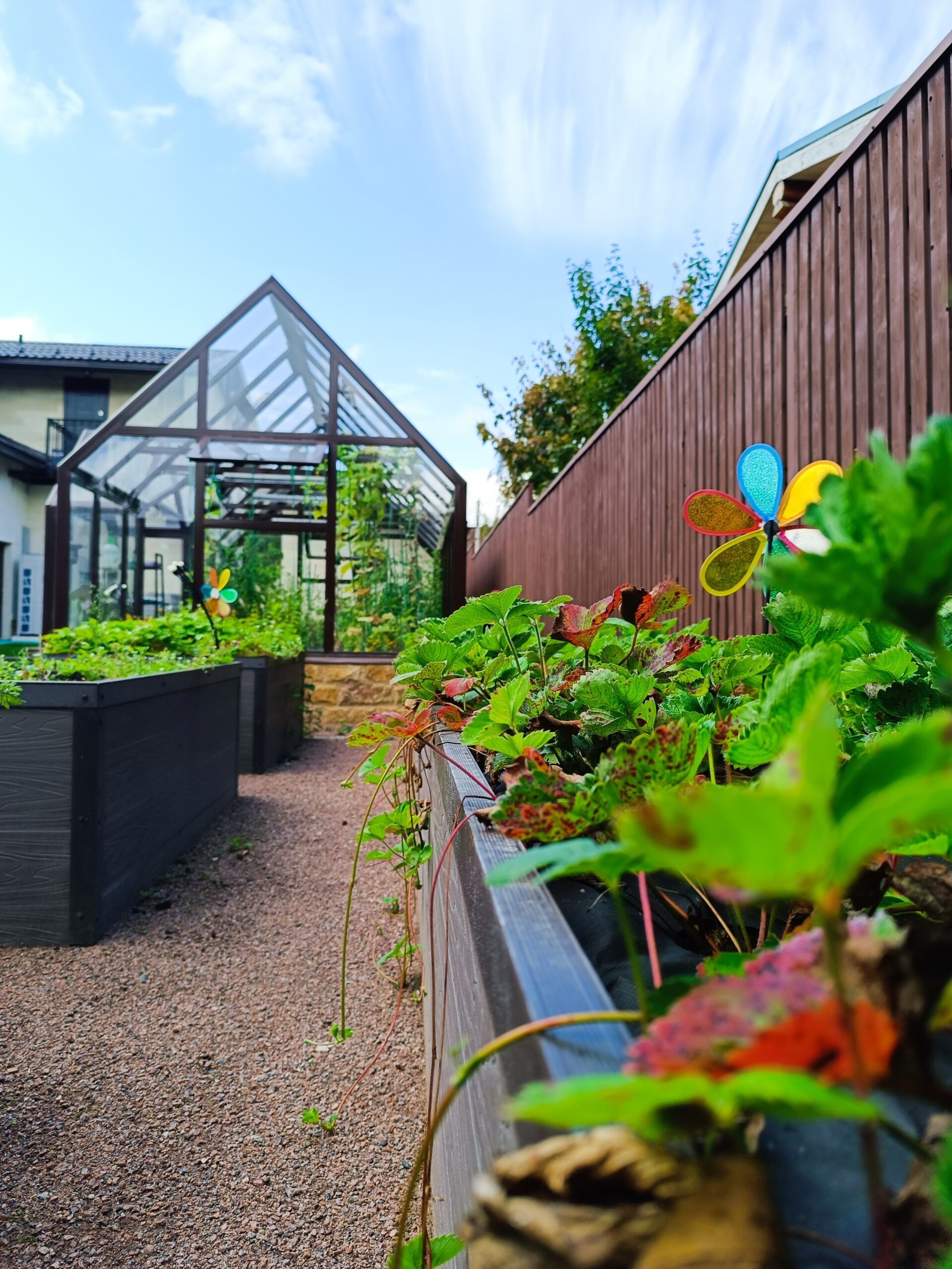 Фото проекта