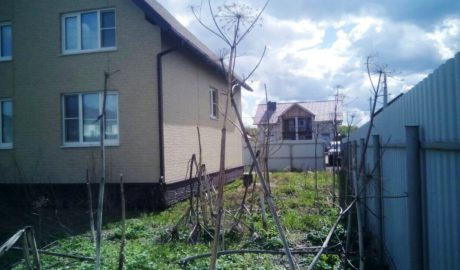Расчистка участка от деревьев и кустарников