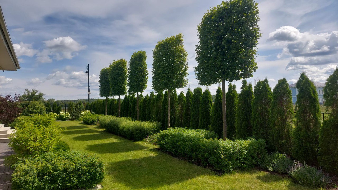 Екатериновка