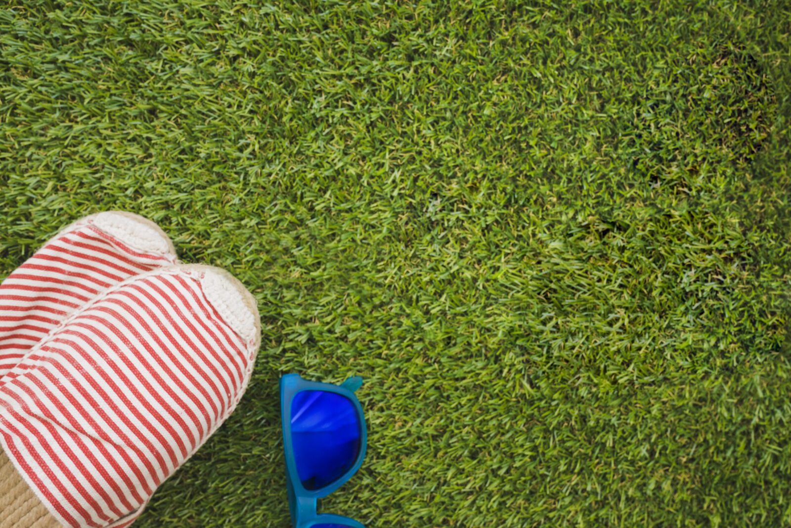 Укладка газона в рулонах в Москве - заказать услугу по выгодной цене в ...