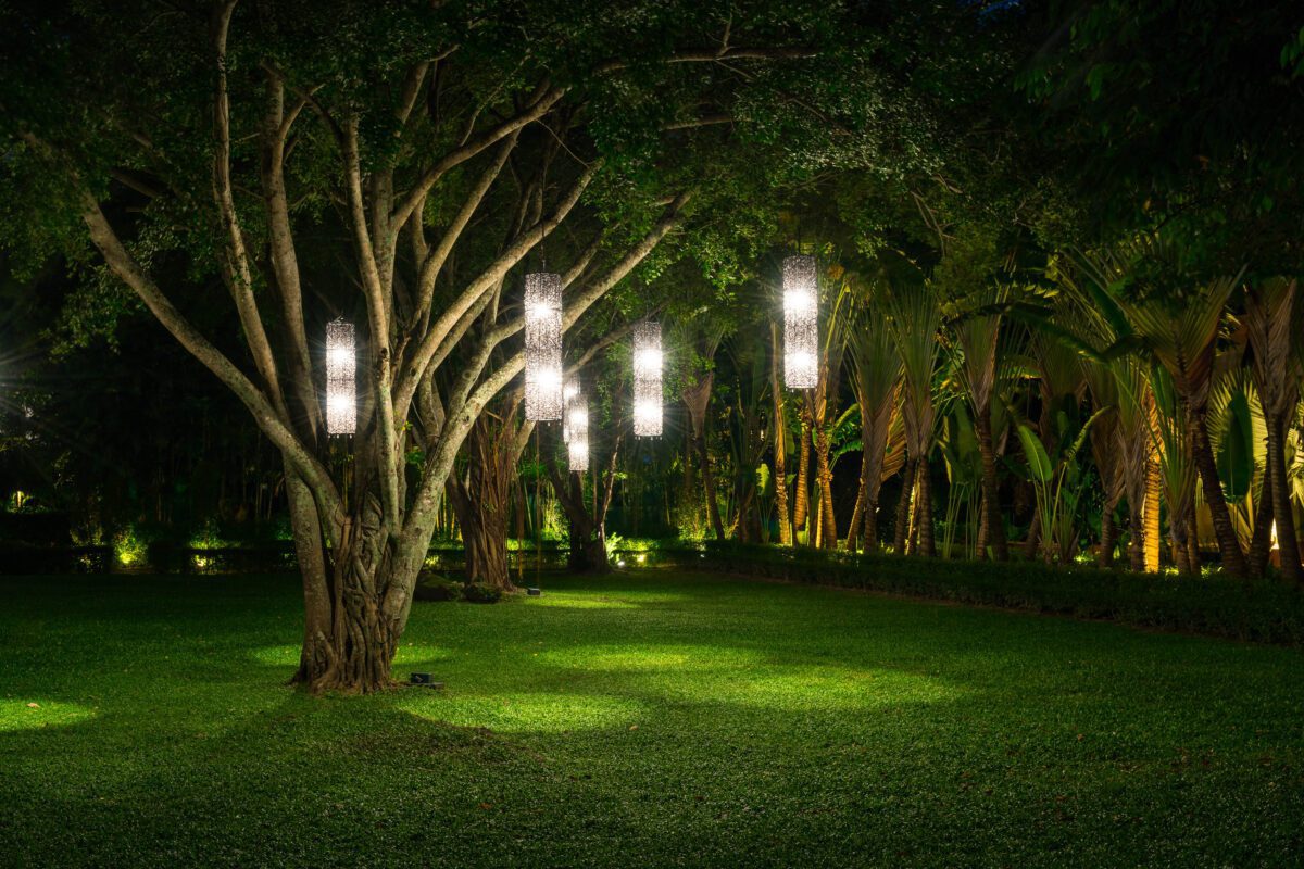 tree with lamp lighting